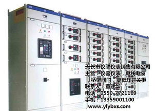 gg 1a開關(guān)柜生產(chǎn)廠家,天長儀聯(lián)儀表,gg 1a開關(guān)柜高清圖片 高清大圖