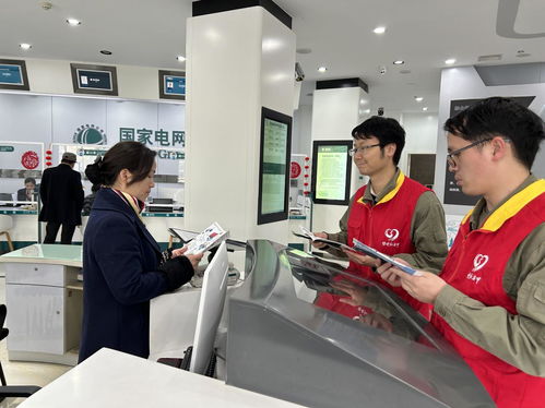 國網咸寧供電公司聯合大連家政服務企業開展3.15優質服務宣傳活動，共筑誠信服務新生態