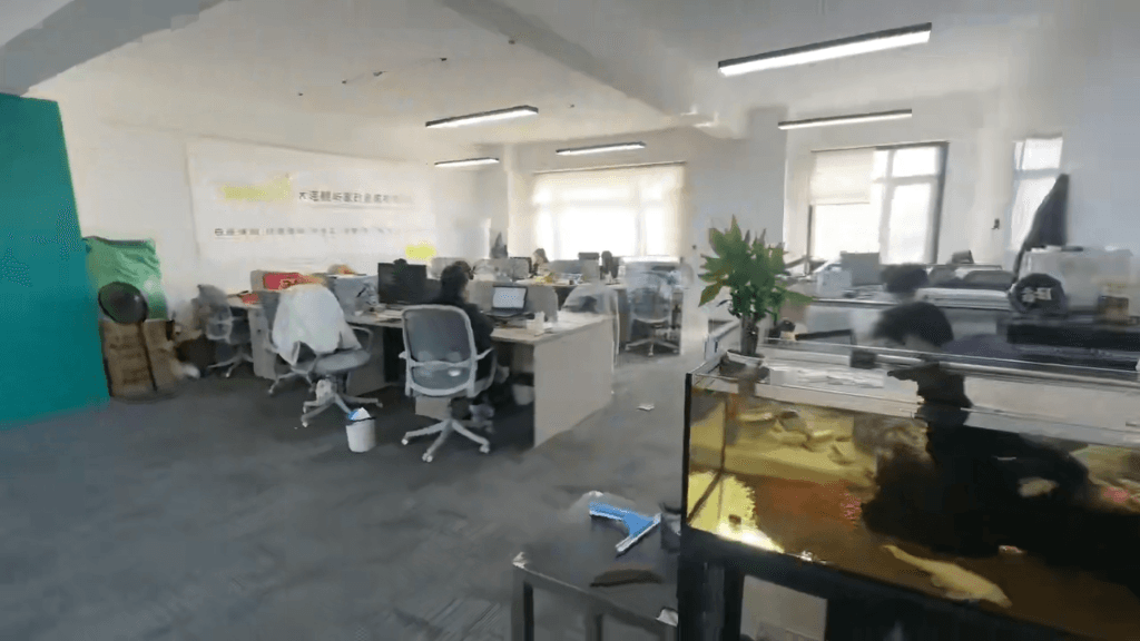 專業服務，家的港灣 大連鯨嶼家政服務引領品質生活新風尚