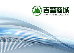 中國吉林森工集團網(wǎng)絡信息技術開發(fā)的戰(zhàn)略路徑與實踐探索