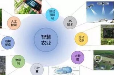 智慧網(wǎng)絡信息技術驅動下的有機農(nóng)業(yè)發(fā)展體系構建研究